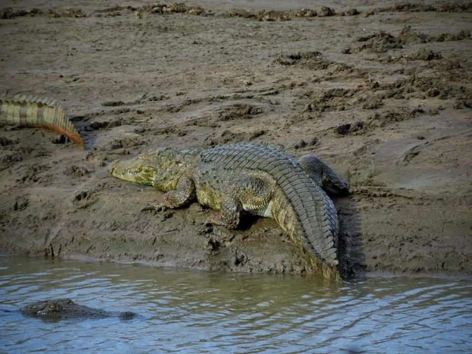 אודוואלאווה Wild Lake Side מראה חיצוני תמונה