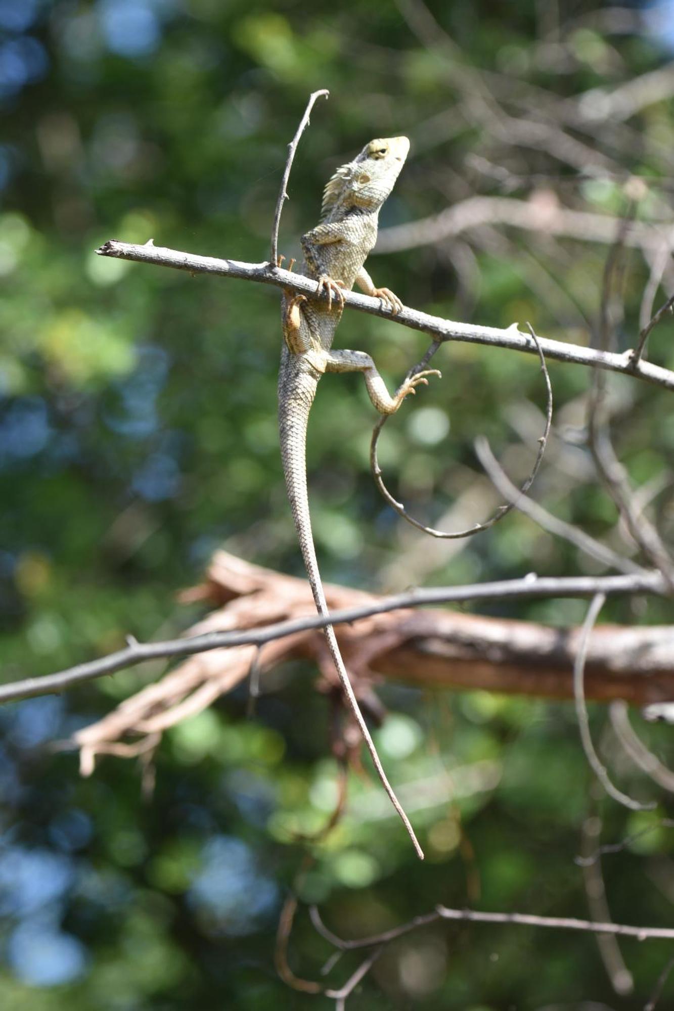 אודוואלאווה Wild Lake Side מראה חיצוני תמונה