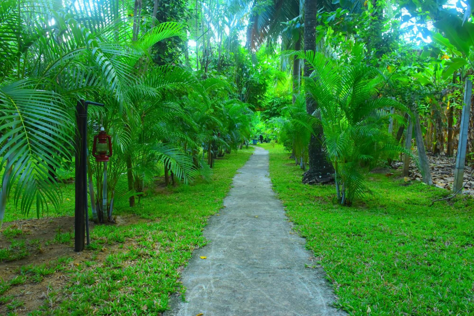 אודוואלאווה Wild Lake Side מראה חיצוני תמונה