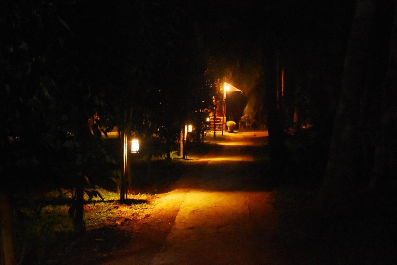 אודוואלאווה Wild Lake Side מראה חיצוני תמונה